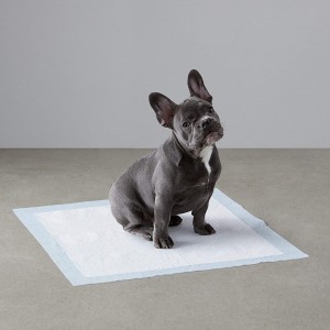 Free Sample Wholesale Disposable Puppy Dog PEE Training Pet Pad