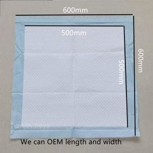 China Manufacturer Training Puppy Dog Disposable Pet Pads Super Absorbent Pee Pads for Dogs