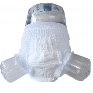 Protective Disposable Underwear