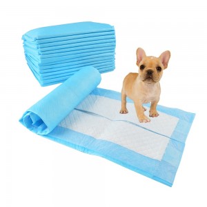 Training pad