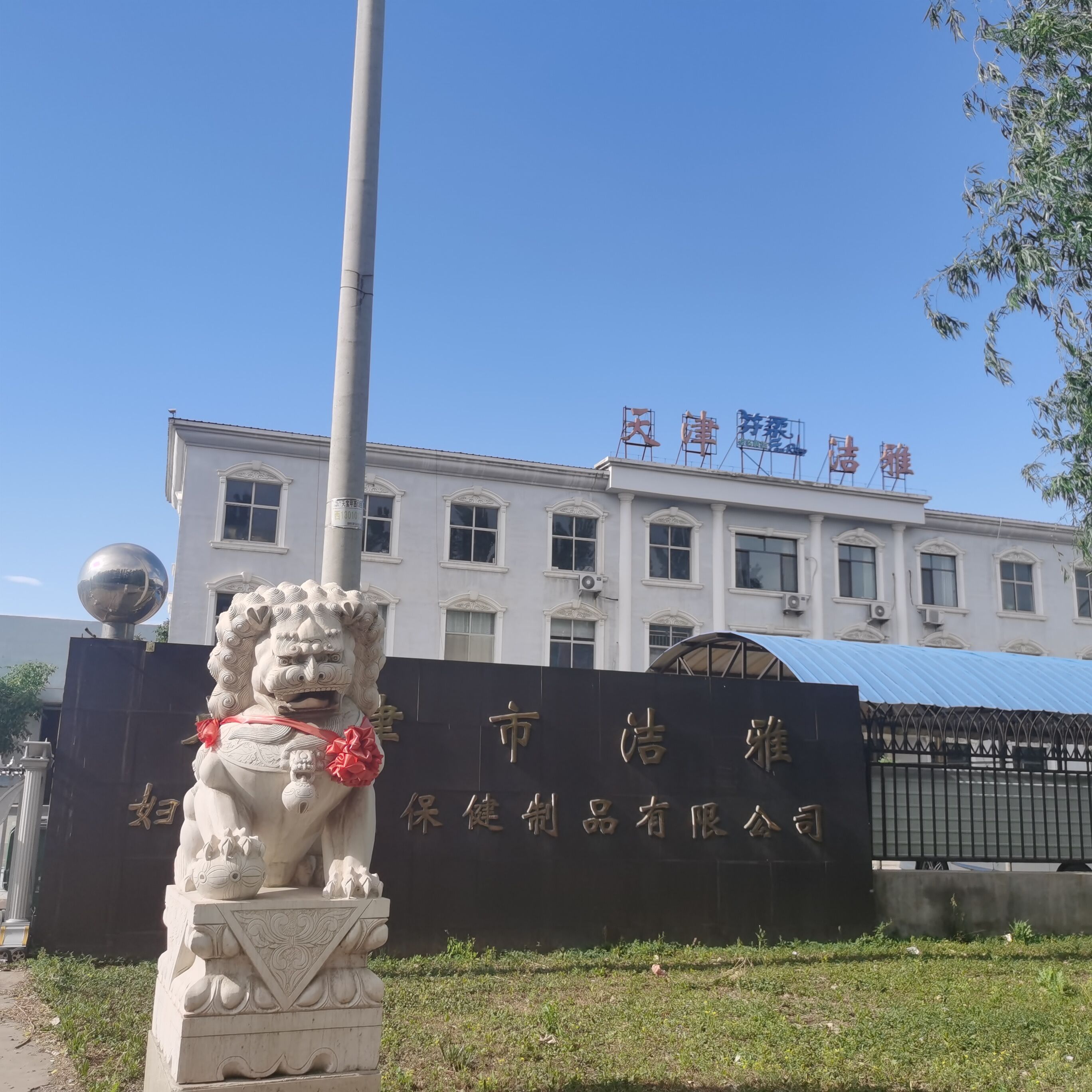 Adult diaper factory