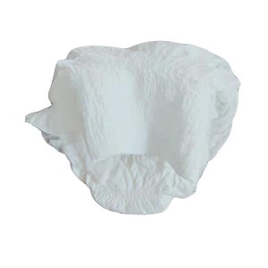Incontinence Wholesale Free Sample Disposable Diapers Adult Pull up Diaper