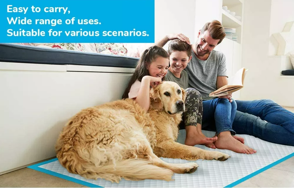 As 26 years old factory will always provide more care about your lovely pets
