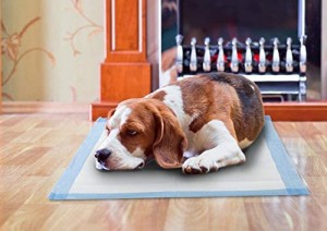 Hot sale training type colorful disposable urine absorbent pee dog puppy pet under pads