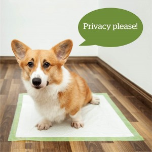 Free Sample Hot Sale Super Absorption Pet Pad Disposable Training Pad For pet