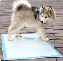 High quality disposable training pet pads with comfortable breathable fabric pet pads for small animals dogs