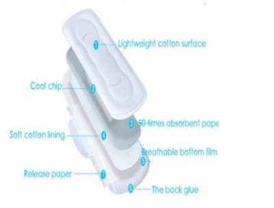 Sanitary Napkin Pad (1)