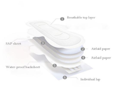 Sanitary Napkin Pad (1)