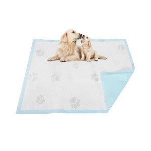 Pet Pad Super Absorbent Dog Cat Disposable Training Customized Urinal Waterproof Puppy Wholesale Pads in America Russia