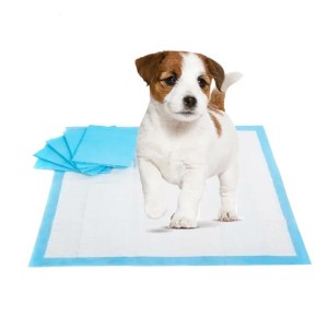 Pet Pad Super Absorbent Dog Cat Disposable Training Customized Urinal Waterproof Puppy Wholesale Pads in America Russia