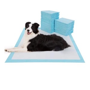 Pet Pad Super Absorbent Dog Cat Disposable Training Customized Urinal Waterproof Puppy Wholesale Pads in America Russia